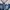 Luxury Cardigan Wanita white navy photo 2