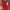 Longchamp Casual Handbag Wanita red photo 1