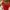 Longchamp Casual Handbag Wanita Red