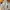 Burberry Casual Bomber jacket Kids gray photo 1