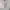 Lolita Babydoll dress Wanita multicolor photo 2