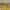 Coach Casual Shoulder bag Wanita yellow photo 1