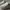 Fila Streetwear Sportswear Sneakers Kids white tan photo 2