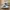 Adidas Casual Sneakers Pria White Black