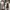 Uniqlo Minimalist Casual Maxi skirt Wanita tan photo 6