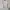 Minimalist Casual Casual dress Wanita multicolor photo 1