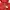 Adidas Casual Hoody Pria red photo 2