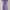 Lolita Casual Dress Wanita Purple