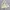 Kensho Abe Vintage Sportswear Track jacket Pria black cream photo 7