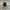 Converse Indie Sneakers Pria white black photo 4