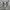 Adidas Skater Minimalist Sneakers Pria white gray photo 3