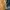 Undefeated Streetwear Hoody Pria yellow photo 6
