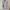 Japanese Brand Minimalist Casual Dress Wanita Multicolor