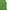 Balenciaga Lolita Fairy Midi dress Wanita green photo 4