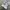 Nike Sportswear Sneakers Pria white photo 1