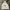 Napapijri Gorpcore Casual Windbreaker Pria White