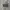 VANS Minimalist Casual Sneakers Pria white black photo 5