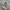 VANS Streetwear Sportswear Pria white orange photo 1