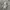VANS Minimalist Casual Sneakers Pria white gray photo 3