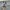 VANS Casual Sneakers Pria white photo 4
