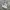 VANS Minimalist Sneakers Pria white photo 1
