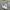 VANS Minimalist Sneakers Pria White
