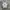 VANS Minimalist Sneakers Pria white photo 3
