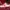 Le Specs Avant Garde Boots Pria Red