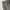 Y2K Sportswear Sweatpants & Joggers Pria silver gray photo 7