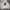 Stussy Streetwear Skater Hoody Pria gray photo 2