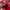Adidas Casual Sneakers Pria white red photo 6