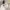 Streetwear Sportswear Hat Pria white red photo 6