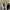 Adidas Casual Sneakers Pria white black photo 3