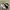 Adidas Casual Sneakers Pria white black photo 1