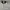 Bally Streetwear Luxury Polo shirt Pria silver photo 2