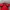 Oakley Vintage Luxury Polo shirt Pria red photo 5