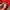 Oakley Vintage Luxury Polo shirt Pria red photo 3