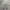 Louis Vuitton Streetwear Casual Duffel Bags & Holdall Wanita Tan Brown