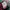 Converse Streetwear Biker Sock Pria red black photo 2