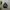 Y2K Goth Sweater Wanita black photo 1