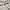 Armani	 Luxury Lolita Denim jacket Wanita white cream photo 3