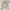 Armani	 Luxury Lolita Denim jacket Wanita white cream photo 4