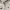Armani	 Luxury Lolita Denim jacket Wanita white cream photo 2