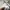 VANS Streetwear Indie Sweater Pria white photo 4