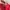 Feltics Pakaian Nasional Puffer jacket Pria red photo 5