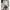 Japanese brand Minimalist Shirt Wanita white photo 1