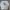 Lacoste Streetwear Luxury Sweater Pria gray photo 1