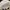 New Era Y2K Sportswear Hat Pria white black photo 4