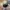 New Era Y2K Sportswear Hat Pria white black photo 1