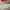 Pierre Cardin Luxury Casual Handbag Wanita red photo 6
